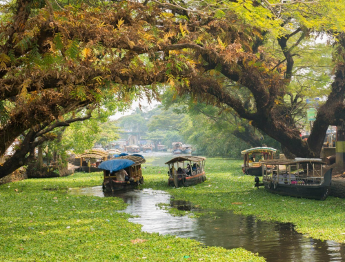 Alappuzha