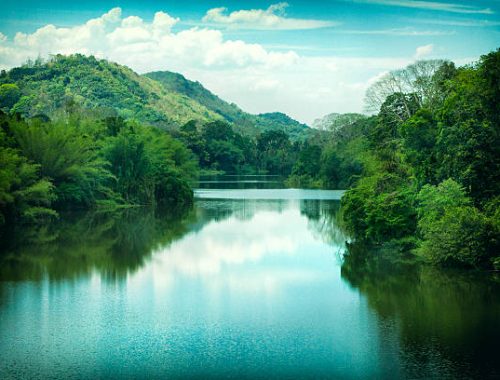 The Periyar River in Kerala, India.