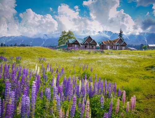 pexels-imad-clicks-8627807